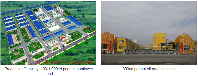 Арахисовое масло Проект по производству подсолнечного масла